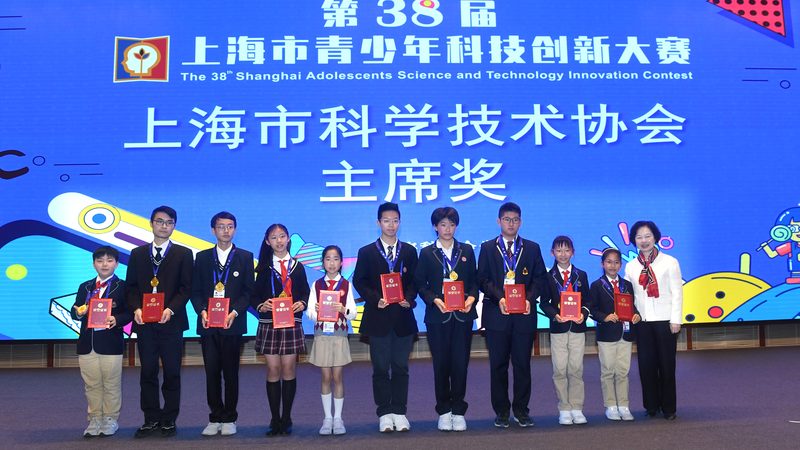 系统集成资质证书：企业成长路上的关键一步