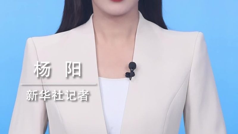 人工智能应用工具安装全攻略：步骤详解与注意事项